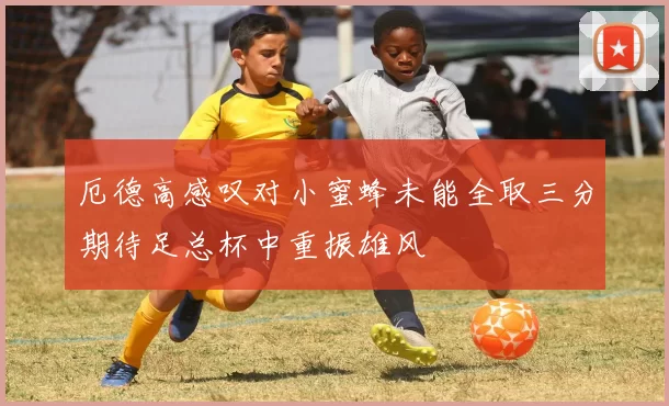 厄德高感叹对小蜜蜂未能全取三分期待足总杯中重振雄风